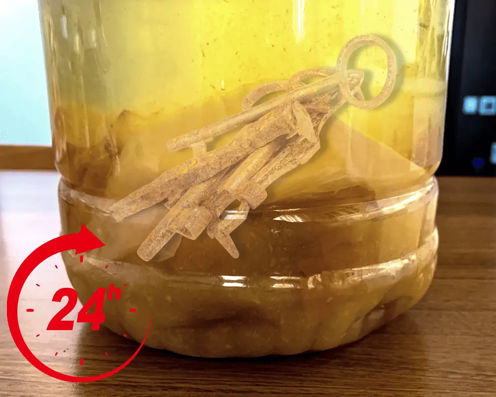 let iron relic sit in vinegar for 24 hours
