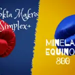 Nokta Makro Simplex vs Minelab Equinox 800