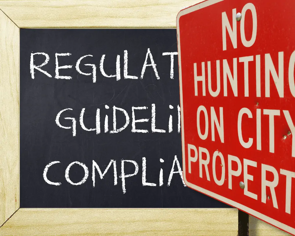 City Property Guidelines