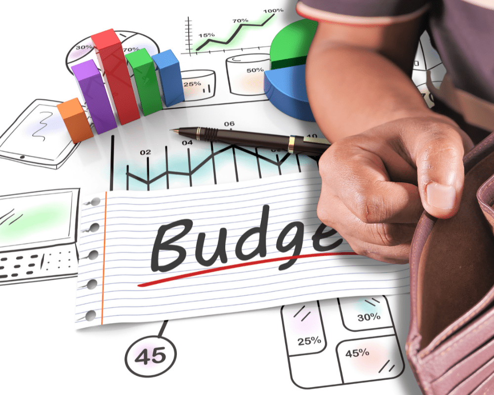 What is Your Budget for a pinpointer