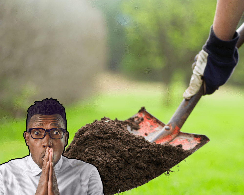 dig slowly and carefully