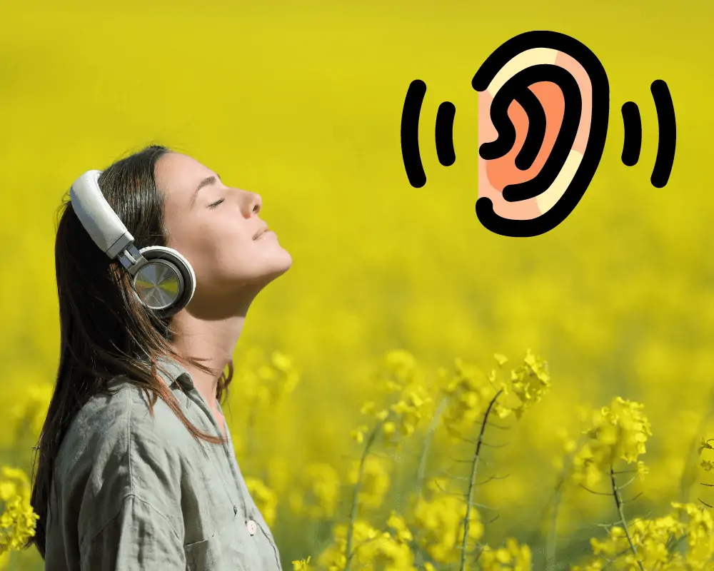 train yourself to recognize audio tones
