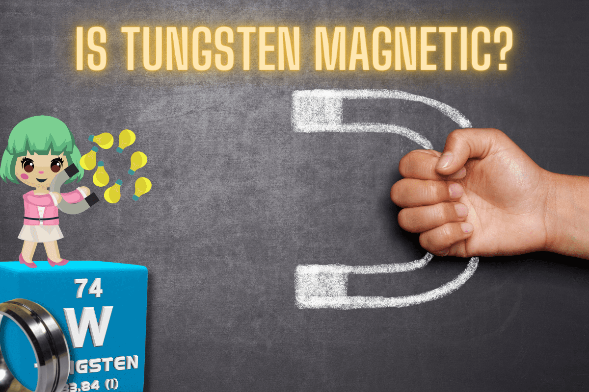 Tungsten Magnetic? with Magnets and Metal Detectors - Diggers and Detectors
