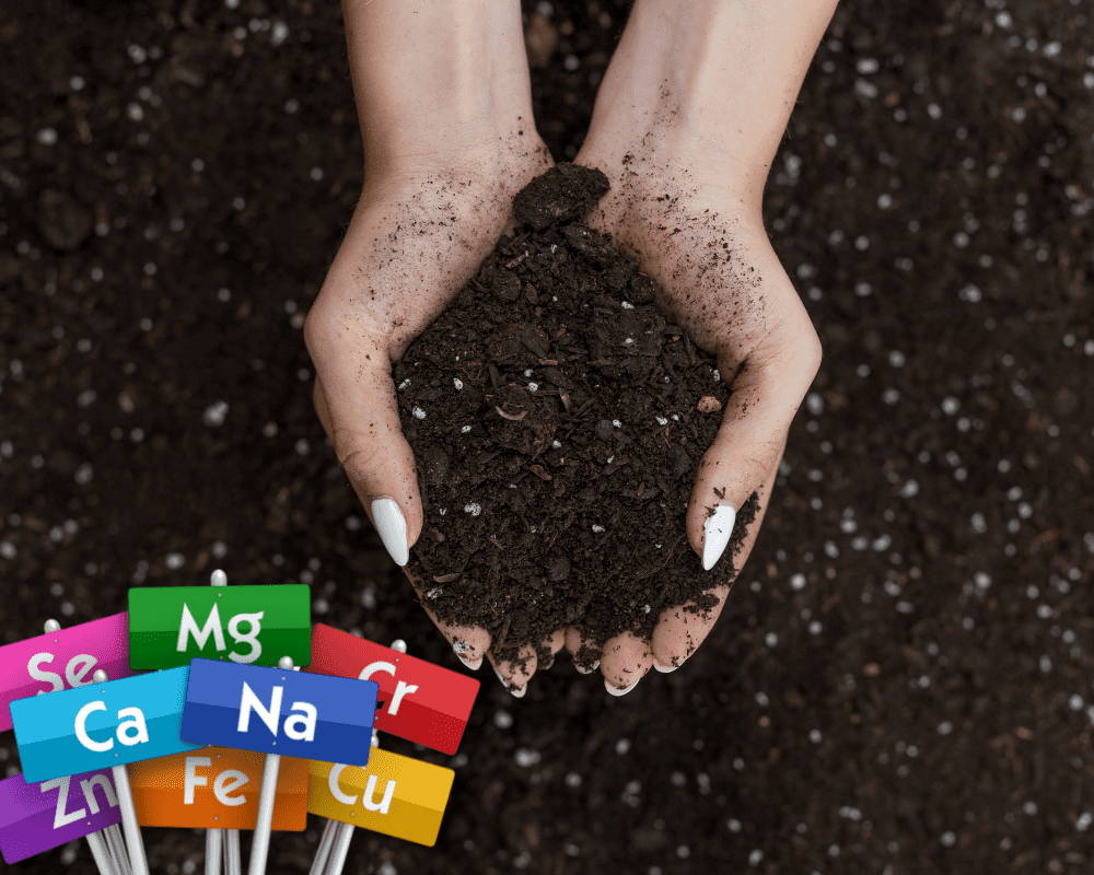 titanium mineralized soil ground balance