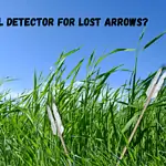 best metal detector for lost arrows