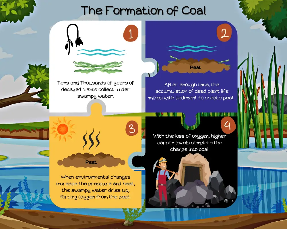 formation of coal